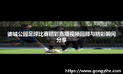 满冠体育平台